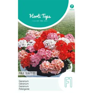 Geranium 'Magic Beauty' F1 - afbeelding 1