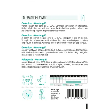 Geranium - Mustang F1 - Rood - afbeelding 2