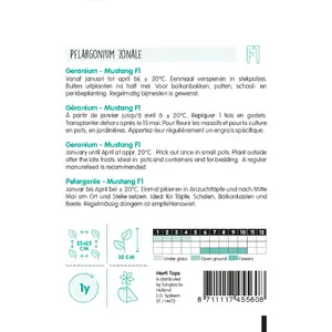 Geranium - Mustang F1 - Rood - afbeelding 2