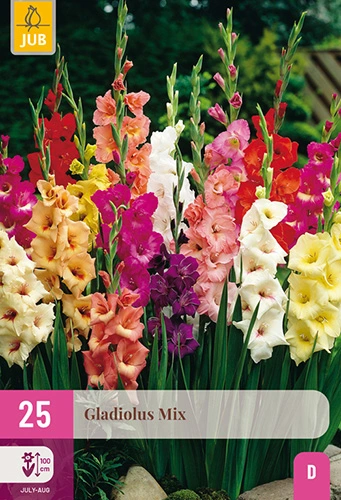 Gladiool - Mix - 25st