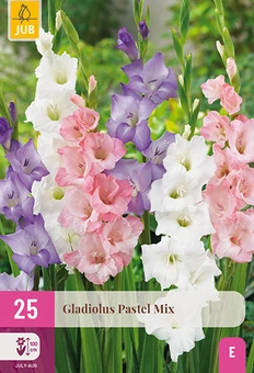 Gladiool - Pastel - Mix - 25st