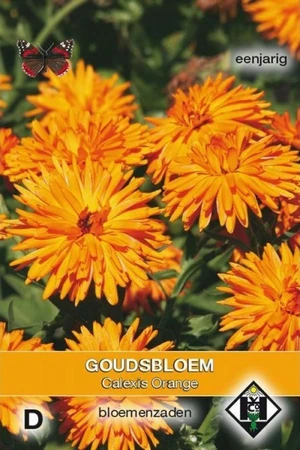 Goudsbloem 'Calexis Orange'