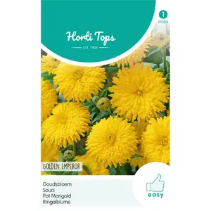 Goudsbloem 'Golden Emperor' - afbeelding 1