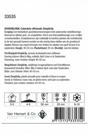 Goudsbloem 'Simplicity' - afbeelding 2