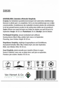 Goudsbloem 'Simplicity' - afbeelding 2