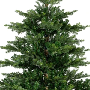Grandis Fir - D150/H210cm - afbeelding 2