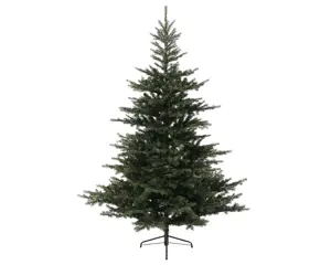 GRANDIS FIR D162H240CM GREEN - afbeelding 2
