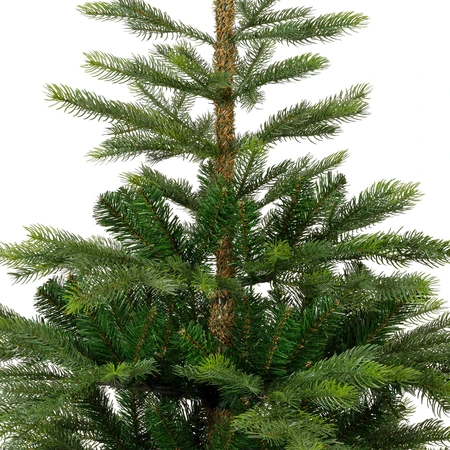 Grandis Fir - D91/H120cm - afbeelding 2