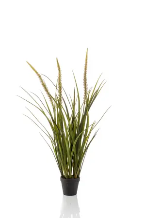 GRASS FOXTAIL X3 90CM