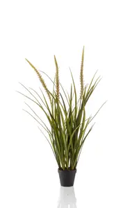 GRASS FOXTAIL X3 90CM