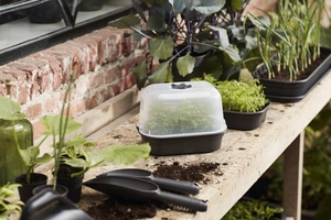 Green Basics Kweekhuis - S - Transparant - afbeelding 2