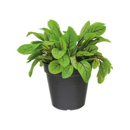 Green Basics Kweekpot - D 11cm -  Living Black - afbeelding 3