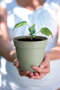 Green Basics Kweekpot - D 11cm - Steengroen - afbeelding 4