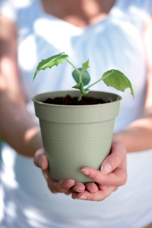 Green Basics Kweekpot - D 13cm - Steengroen - afbeelding 4