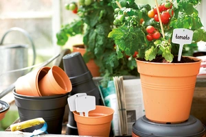 Green Basics Kweekpot - D 24cm - Bladgroen - afbeelding 4