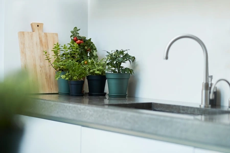 Green Basics Kweekpot - D11/H10cm - Inhoud 0,6L - Bladgroen - afbeelding 5