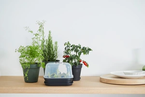 Green Basics Kweekpot - D 21cm - Bladgroen - afbeelding 5