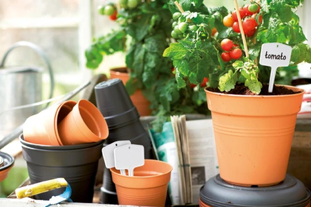 Green Basics Kweekpot - D 21cm - Bladgroen - afbeelding 4