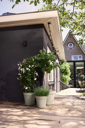 Green Basics Kweekpot - D 30cm - Faded Lila - afbeelding 4