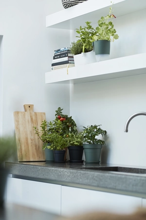 Green Basics Kweekpot - D 24cm - Living Black - afbeelding 5