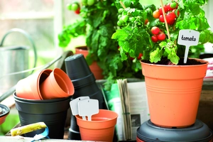 Green Basics Kweekpot - D 13cm - Living Black - afbeelding 4