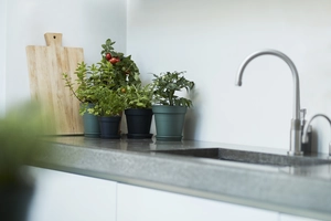 Green Basics Kweekpot - D 19cm - Living Black - afbeelding 5