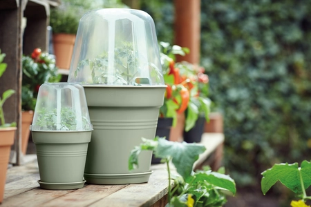 Green Basics Kweekpot - D 40cm - Steengroen - afbeelding 5