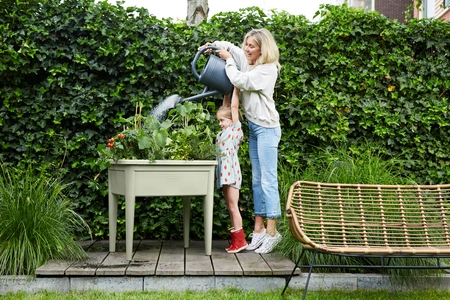 Green Basics Kweektafel - XXL 75cm - Steengroen - afbeelding 3