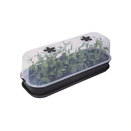 Green Basics Kweektray - L - Living Black - afbeelding 4