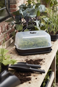 Green Basics Kweektray - S - Living Black - afbeelding 4