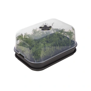 Green Basics Kweektray - M - Living Black - afbeelding 2