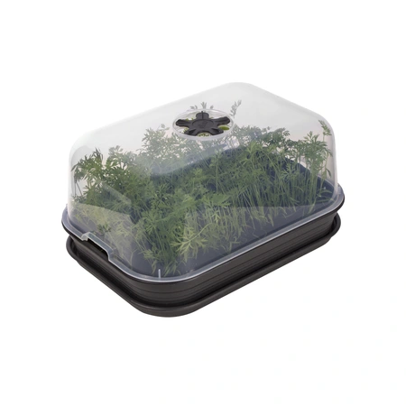 Green Basics Kweektray - M - Living Black - afbeelding 2