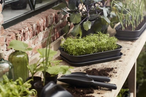 Green Basics Kweektray Schotel - S - Bladgroen - afbeelding 2