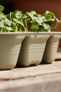 Gren Basics Zaaitray - 22cm - Steengroen - afbeelding 9