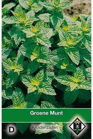 Groene Munt