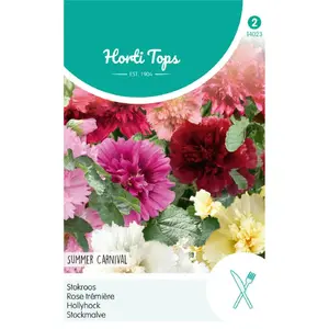HT ALTHAEA (ALCEA), STOKROOS ROSEA SUMMER CARNIVAL - afbeelding 1