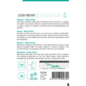 HT Alyssum 'Rosie O'Day' - afbeelding 2