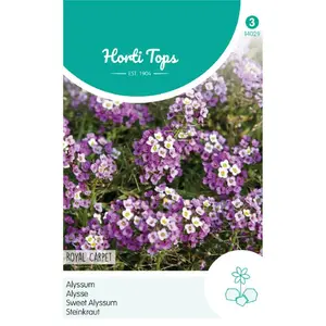 HT ALYSSUM ROYAL CARPET - afbeelding 1