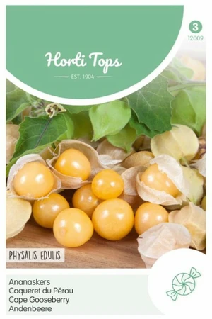 HT Ananaskers 'Peruviana' - afbeelding 1