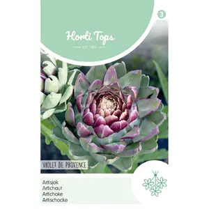 HT ARTISJOK VIOLET DE PROVENCE - afbeelding 2