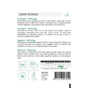 HT AUBERGINE WHITE EGG - afbeelding 2