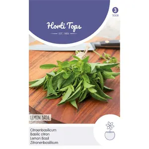 HT BASILICUM CITROENSMAAK - LEMON BASIL - KEMANGI