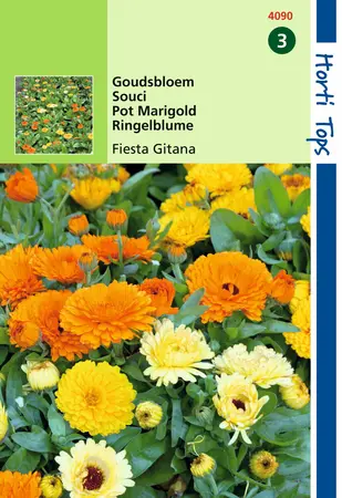 HT CALENDULA, GOUDSBLOEM FIESTA GITANA GEMENGD