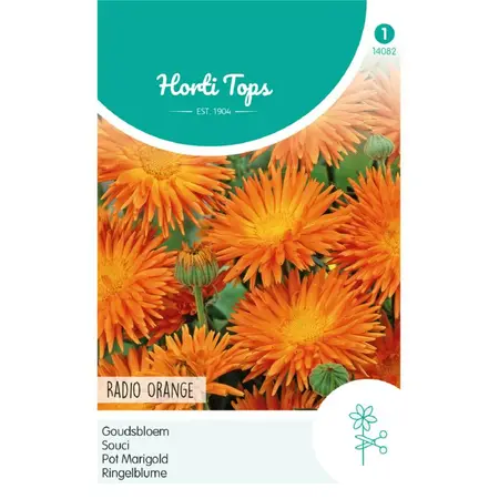 HT CALENDULA, GOUDSBLOEM RADIO ORANGE - afbeelding 1