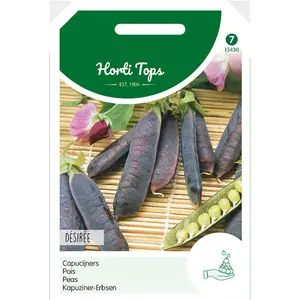 HT Capucijners 'Désiree' - Lage Blauwschokker - afbeelding 1