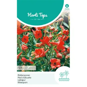 HT DELPHINIUM, RIDDERSPOOR FOX ORANJE-ROOD - afbeelding 2