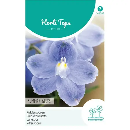 HT DELPHINIUM, RIDDERSPOOR SUMMER BLUES - afbeelding 1