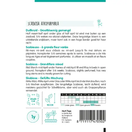 HT Duifkruid - afbeelding 2