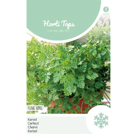 HT Kervel 'Fijne Krul' - afbeelding 1