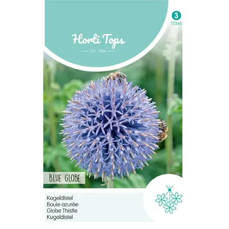 HT Kogeldistel 'Blue Globe' - afbeelding 1